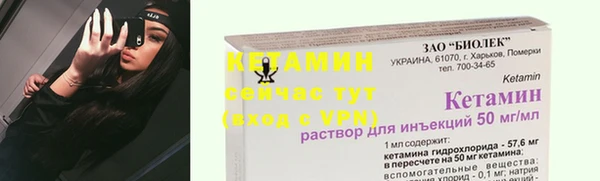 гашик Сосновый Бор