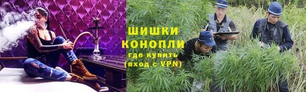 гашик Сосновый Бор
